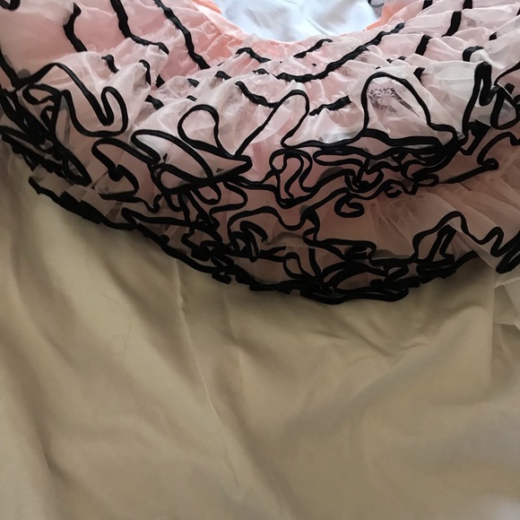 Beautiful Pink & Black Crinoline - Picture 3 of 3
